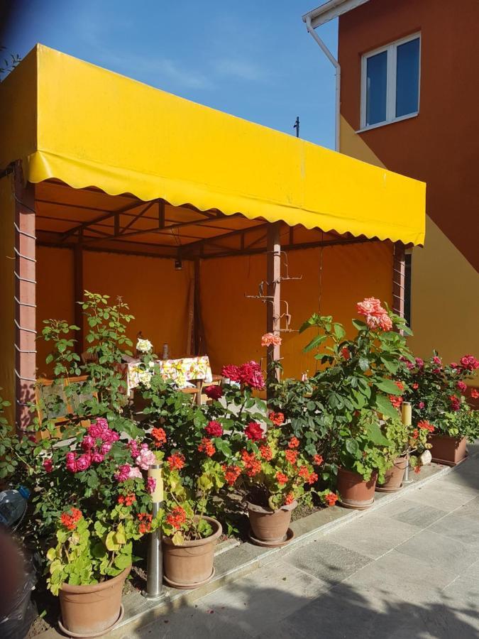 Hotel Vila Cozia Eforie Nord Zewnętrze zdjęcie